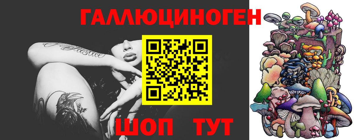 Галлюциногенные грибы Psilocybine cubensis  Вход с VPN  Клинцы 
