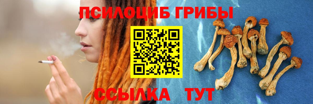Галлюциногенные грибы ЛСД Клинцы