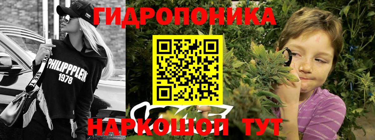 Шишки марихуана сатива Клинцы